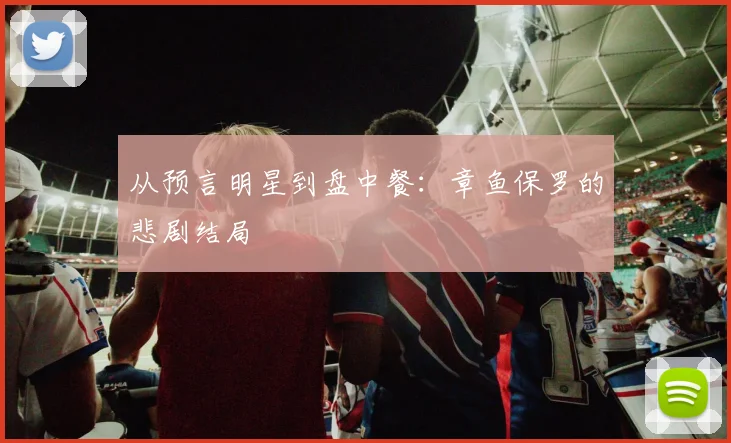 从预言明星到盘中餐：章鱼保罗的悲剧结局