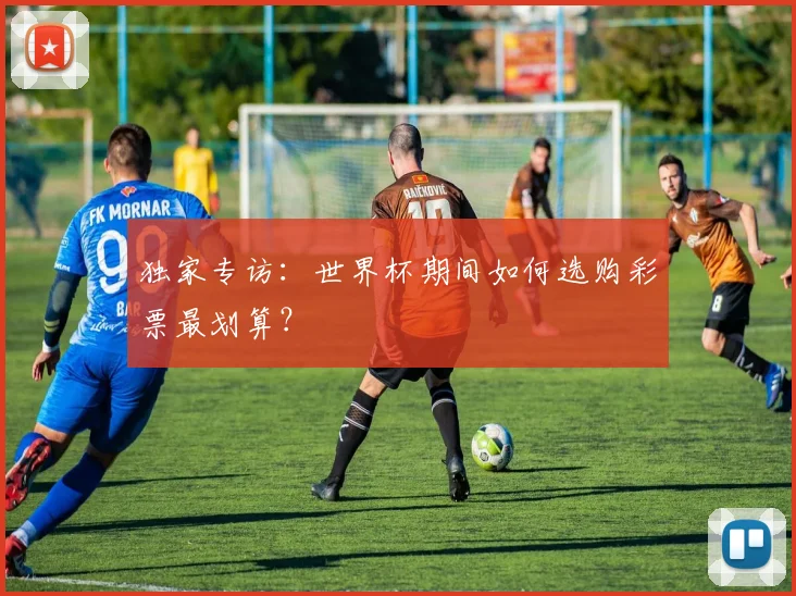 独家专访：世界杯期间如何选购彩票最划算？