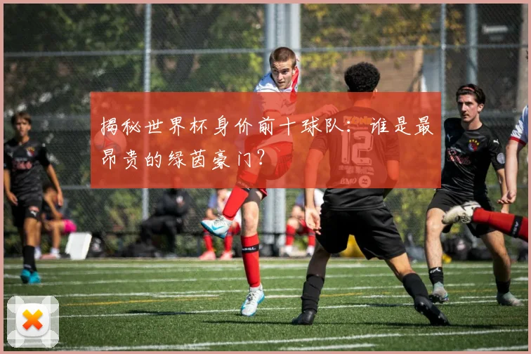 揭秘世界杯身价前十球队：谁是最昂贵的绿茵豪门？