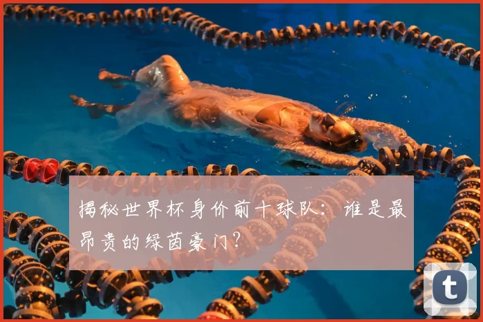 揭秘世界杯身价前十球队：谁是最昂贵的绿茵豪门？