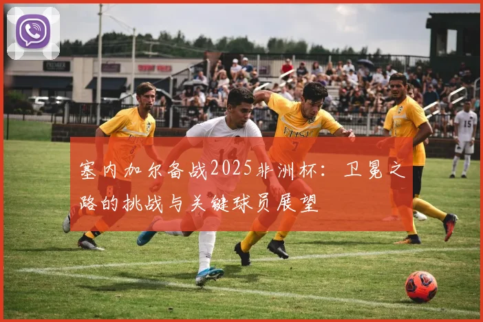 塞内加尔备战2025非洲杯：卫冕之路的挑战与关键球员展望